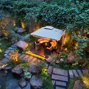 Apartment Garden View